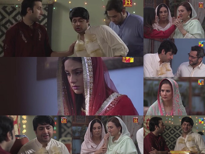 Ranjha Ranjha Kardi Episode 11 Story Review - Powerful and Poignant