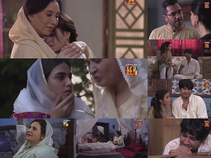 Ranjha Ranjha Kardi Episode 11 Story Review - Powerful and Poignant