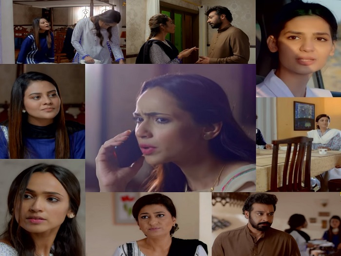 Baba Jani Episode 24 Story Review - Different Shades Of Love