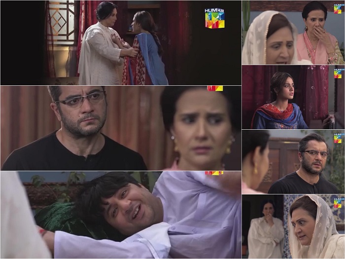 Ranjha Ranjha Kardi Episode 14 Story Review - Storytelling At Its Finest