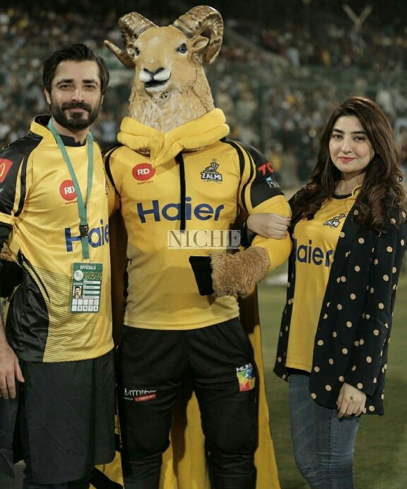 Peshawar Zalmi Brand Ambassadors Had Nail Biting Moments At The Final