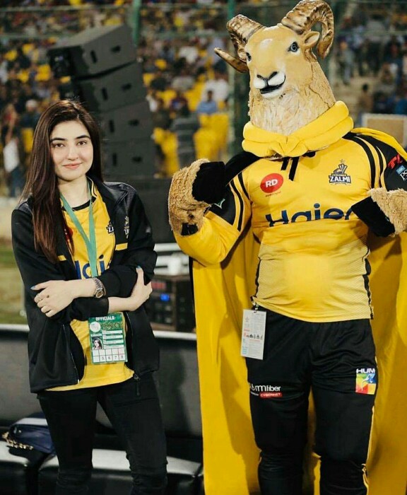 Peshawar Zalmi Brand Ambassadors Had Nail Biting Moments At The Final