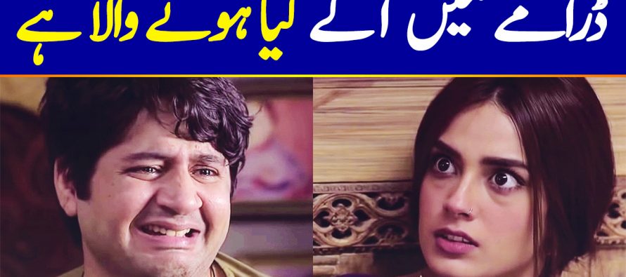 Ranjha Ranjha Kardi Complete Story