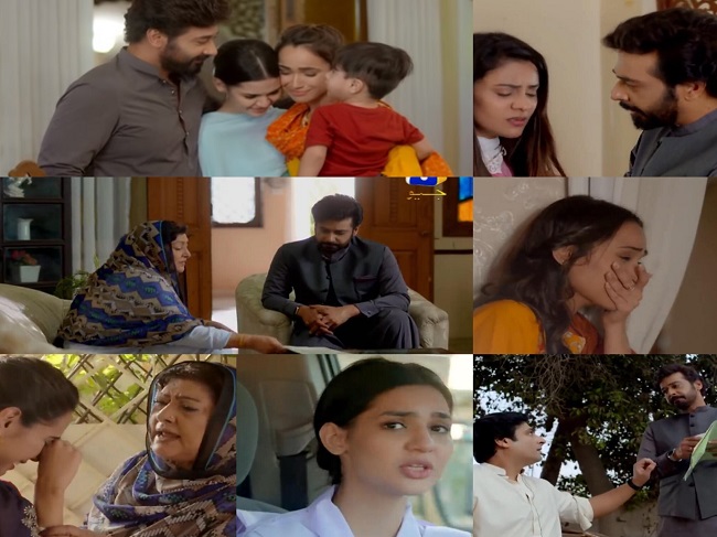 Baba Jani Last Episode Story Review - Realizations & Apologies