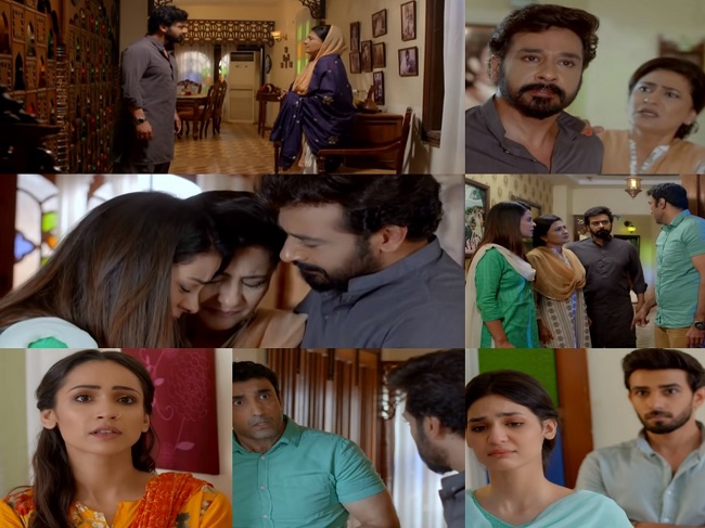 Baba Jani Last Episode Story Review - Realizations & Apologies