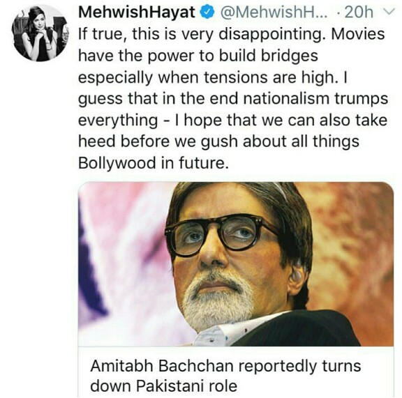 Mehwish Hayat Calls Out Amitabh Bachan