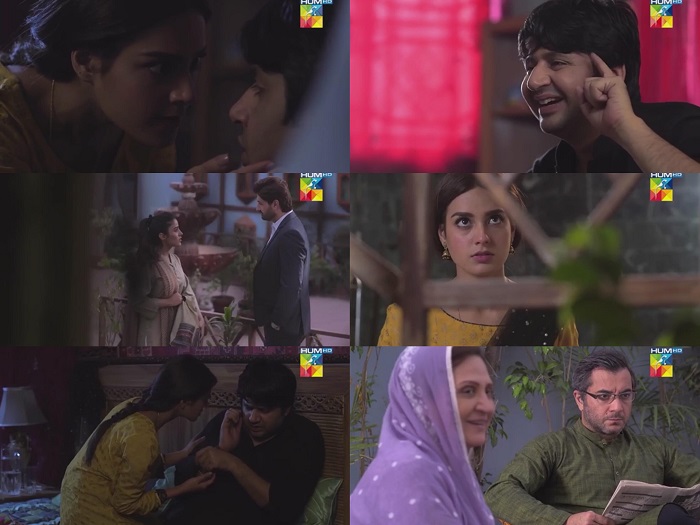 Ranjha Ranjha Kardi Episode 26 Story Review - Extremely Distressing