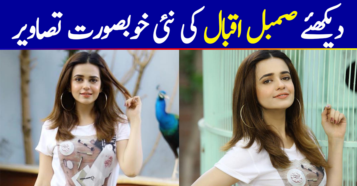 Latest Beautiful Clicks of Gorgeous Actress Sumbul Iqbal