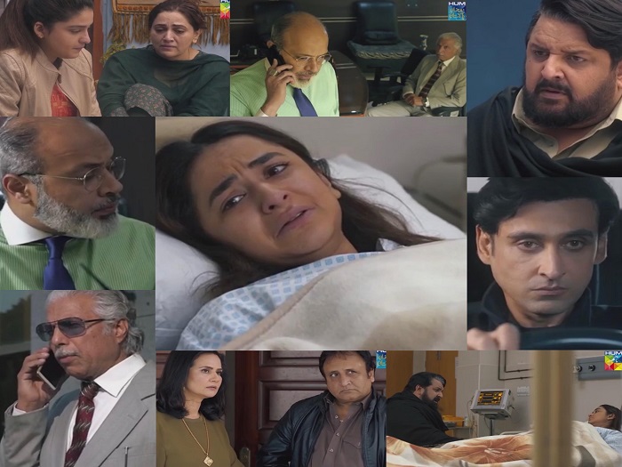 Inkaar Drama on Hum TV: Timings, Story, Cast & More - Brandsynario