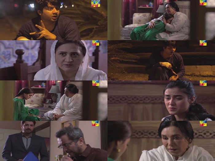 Ranjha Ranjha Kardi Episode 27 Story Review - Totally Unexpected