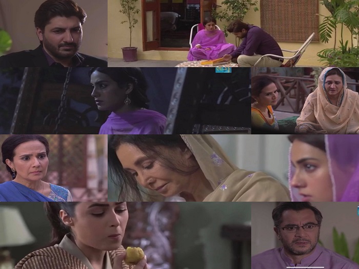 Ranjha Ranjha Kardi Episode 28 Story Review - Realizations & Decisions