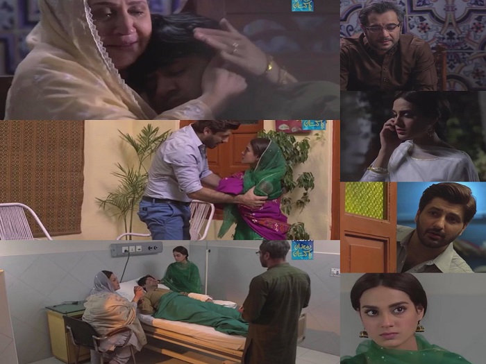 Ranjha Ranjha Kardi Episode 30 Story Review - Confrontations & Conflicts