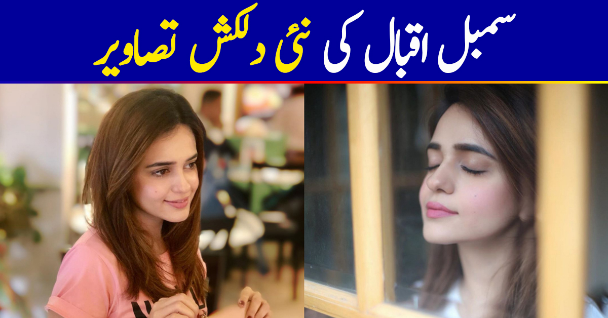 Gorgeous Actress Sumbul Iqbal's Latest Pictures