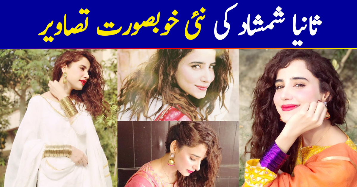 Latest Clicks of Beautiful Actress Saniya Shamshad