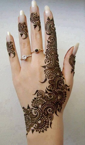 Pakistani Mehndi Design 11