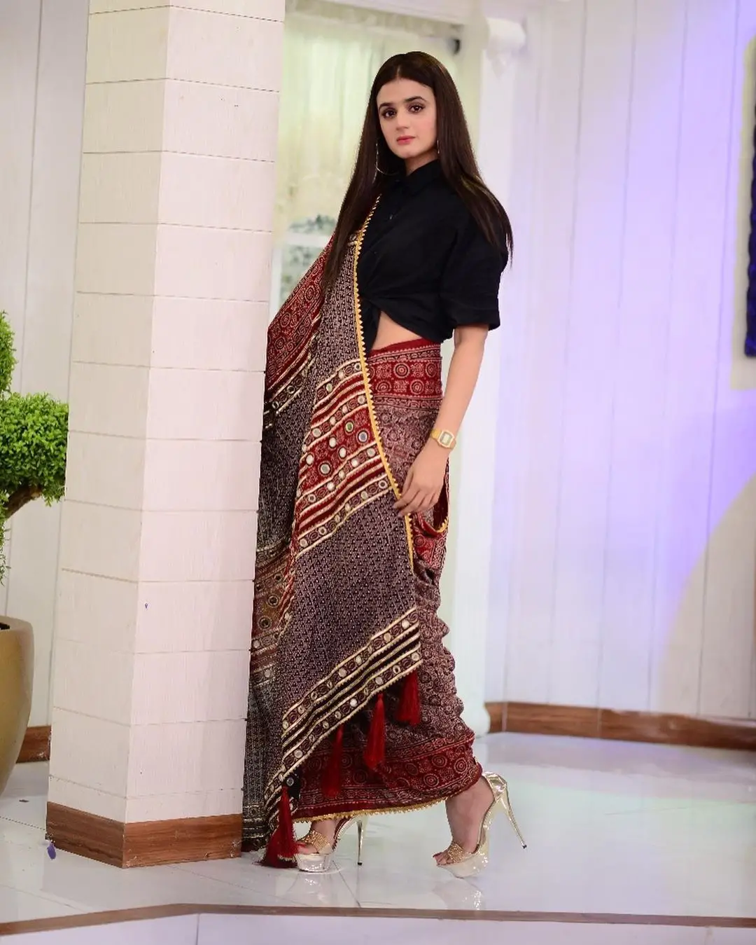 Hira Mani in saree 2