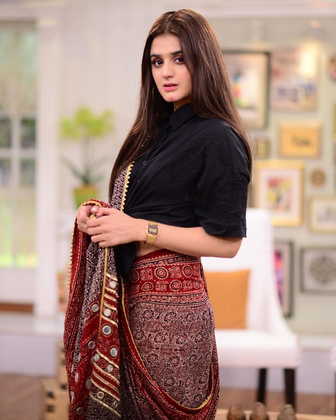 Hira Mani in saree 4