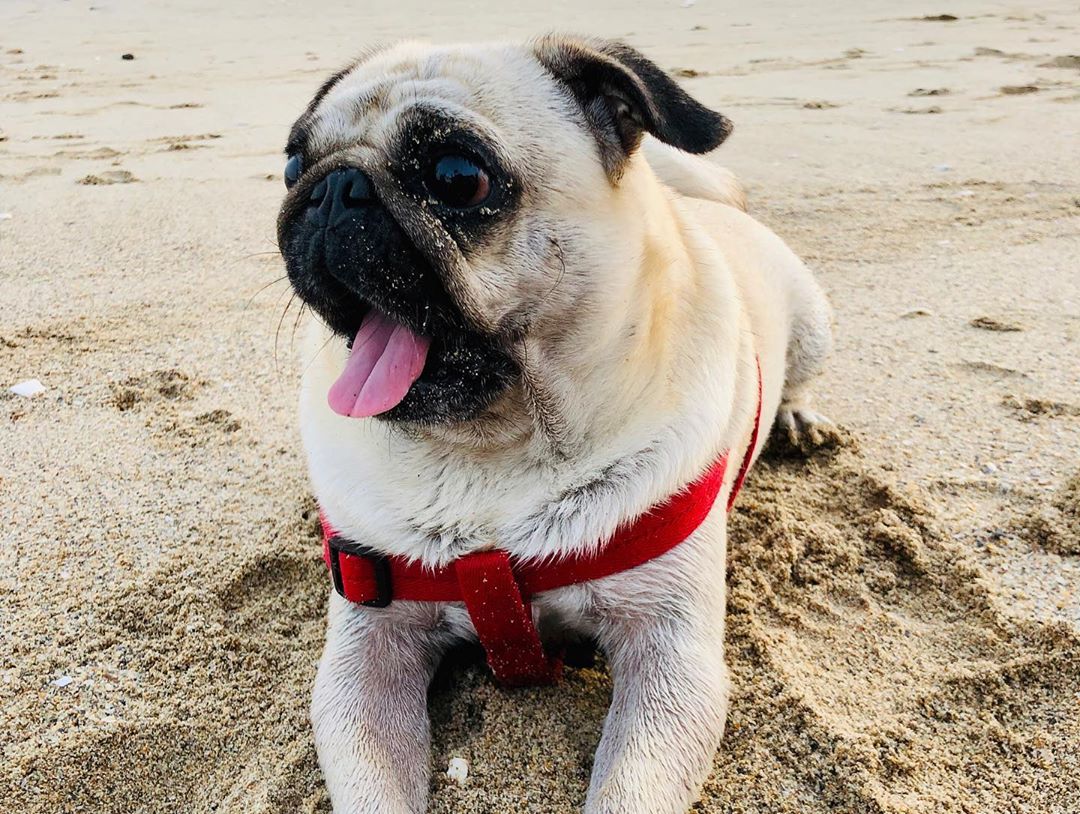 Yasir Iqra Aziz Ormara Beach 6