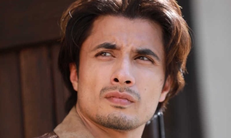 I Falsely Accused Ali Zafar Of Harassment And I Apologize, Says Woman