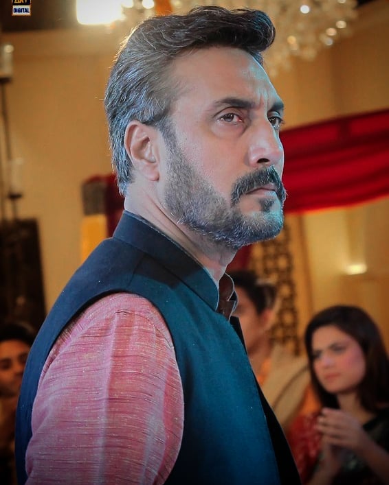 Adnan Siddiqui opens up about Meray Pass Tum Ho