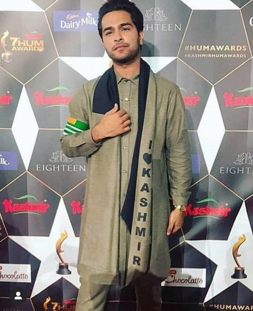 Top 10 Best Dressed Celebrities at Hum Awards 2019