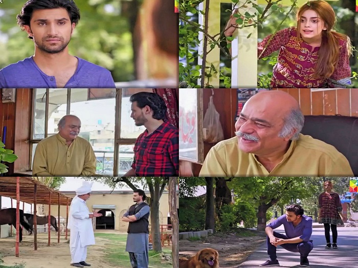 Ehd-e-Wafa Episode 5 Story Review - Highs and Lows