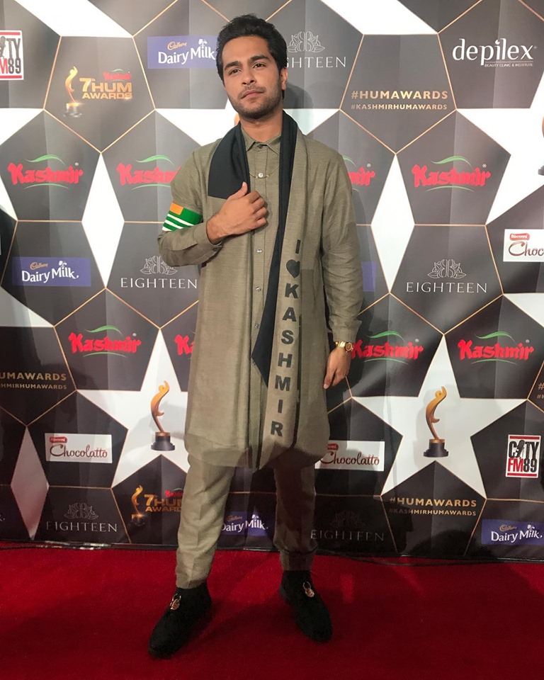 Celebrities at the Red Carpet of Hum Awards 2019 in Houston