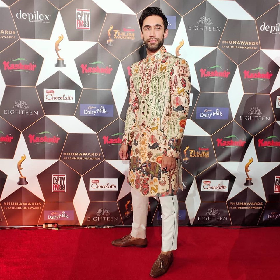 Celebrities at the Red Carpet of Hum Awards 2019 in Houston