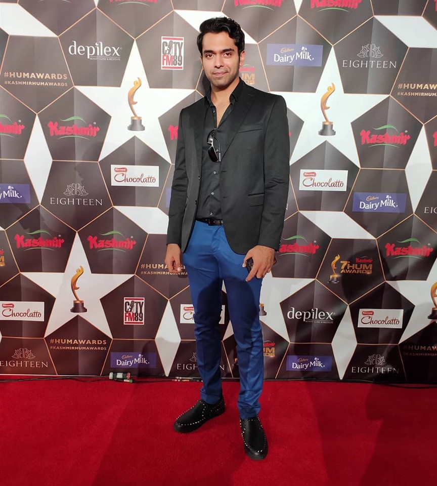 Celebrities at the Red Carpet of Hum Awards 2019 in Houston