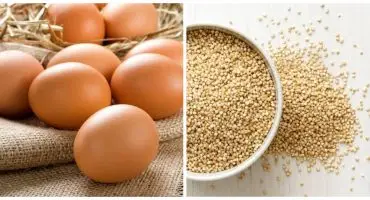 What Foods are High in Protein - Complete list