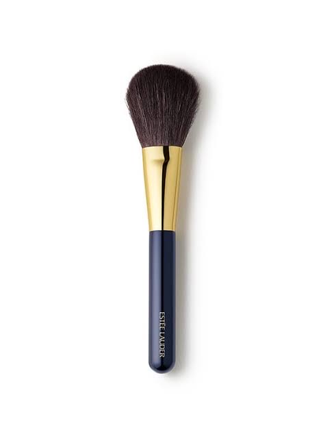 Makeup brushes you need for a flawless look