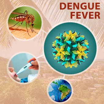 Dengue fever: Causes and home remedies