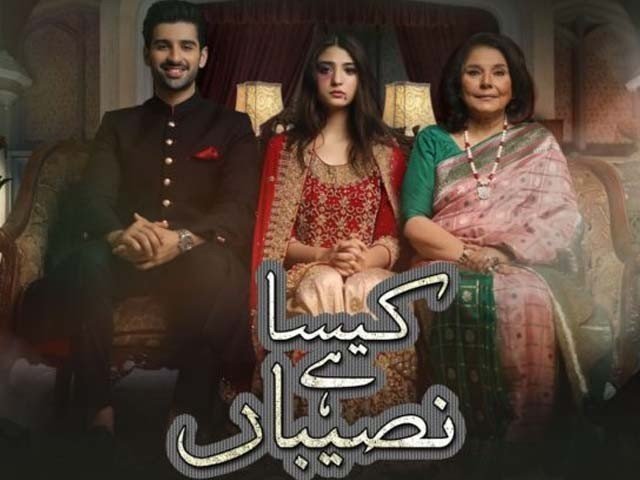 Ary Dramas of 2019 | Top 5 Hit Dramas