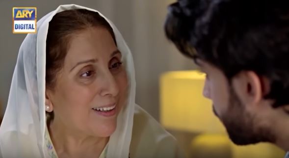 Rare Moments When Pakistani Actors Didn't Wear Makeup