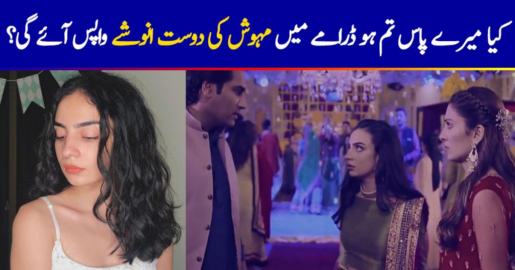 Will Mehwish's friend Anoushay be coming back in Meray Pass Tum Ho?