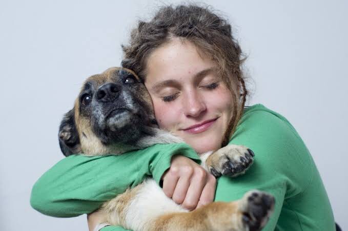 How to make your home pet friendly