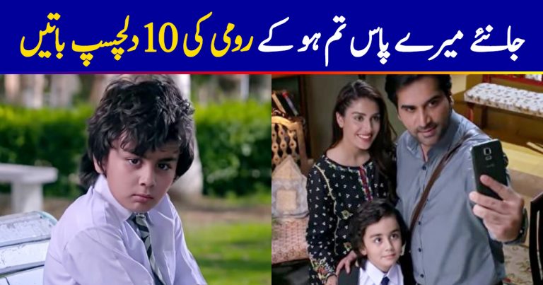 Roomi of Mere Pass Tum Ho | 10 Secrets About Him