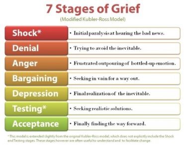 The seven stages of grief | Reviewit.pk