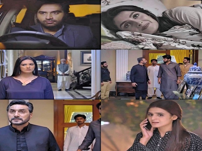 Mere Pass Tum Ho Episode 18 Story Review - The Downfall