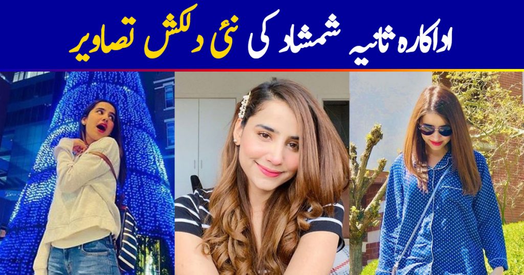 Latest Beautiful Pictures of Saniya Shamshad