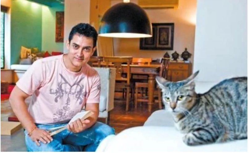 A Tour to Aamir Khan's Beautiful House