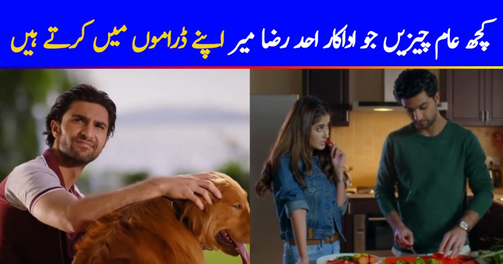 Few Common Things Ahad Raza Mir Does In His Dramas