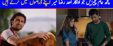 Few Common Things Ahad Raza Mir Does In His Dramas