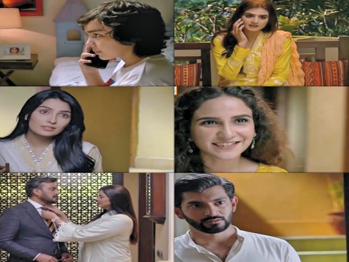 Mere Pass Tum Ho Episode 22 Story Review - Regrets and a Proposal