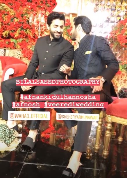 Maya Ali Brother Afnan Qureshi Beautiful Wedding Pictures