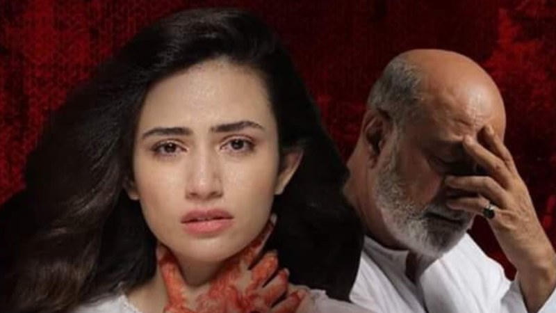 Pakistani Dramas Based On True Stories - Complete List