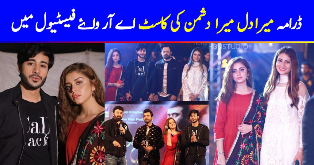 Cast of Drama Serial Mera Dil Mera Dushman Spotted at ARY Festival