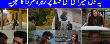 Ye Dil Mera Episode 17 Story Review - Pieces of Puzzle