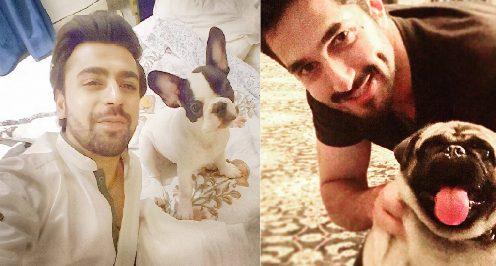 Pakistani Celebrities Who are Fond of Pet Dogs