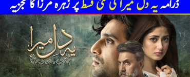 Ye Dil Mera Episode 19 Story Review - The Ultimate Question